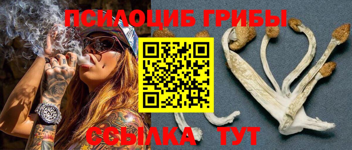 Галлюциногенные грибы Magic Shrooms  купить наркотики сайты  Георгиевск  Вход с VPN 